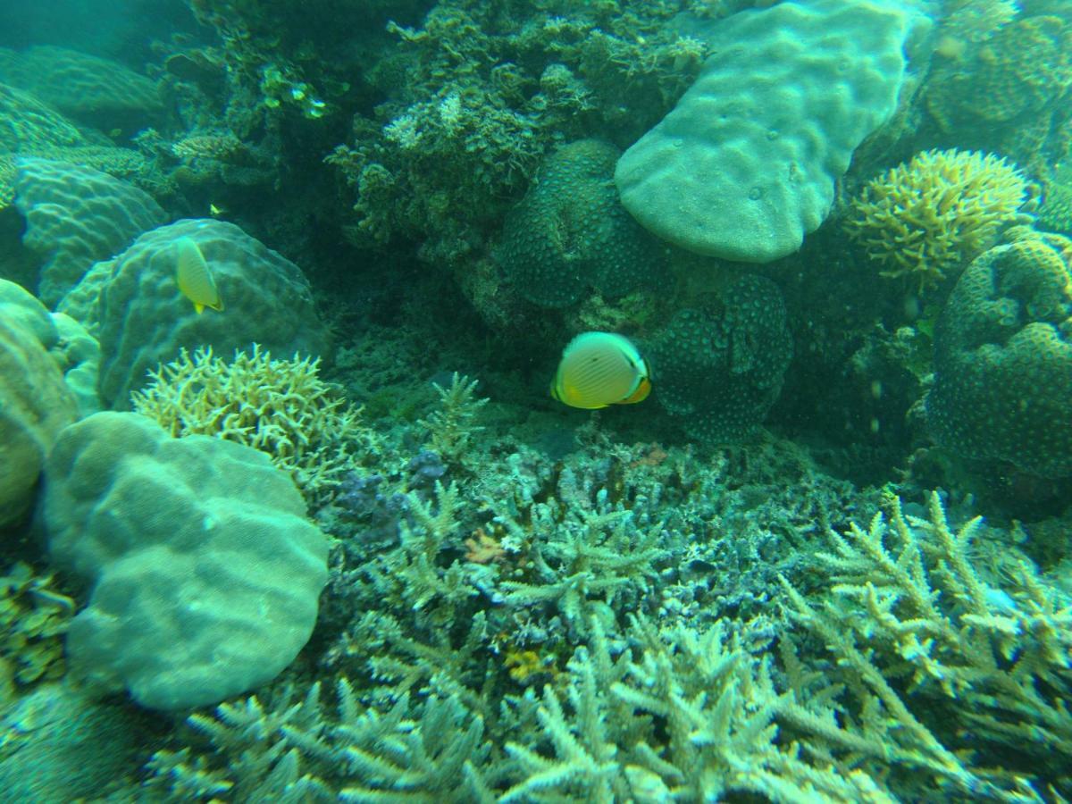 Playa Encantada Beach Resort El Nido Exteriér fotografie